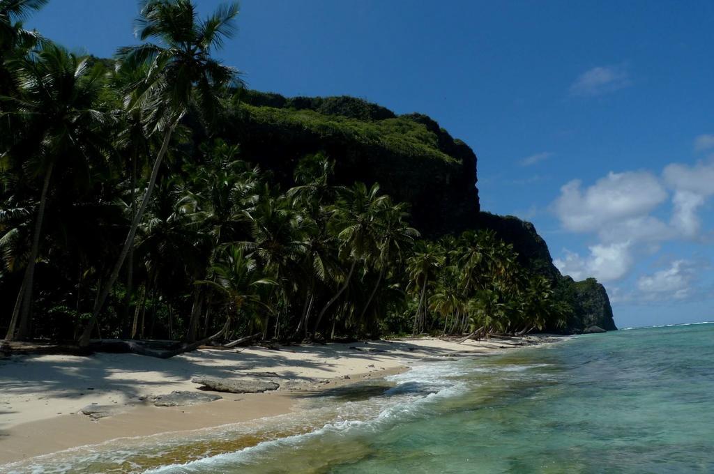 Dominican Tree House Village Samana Exterior foto