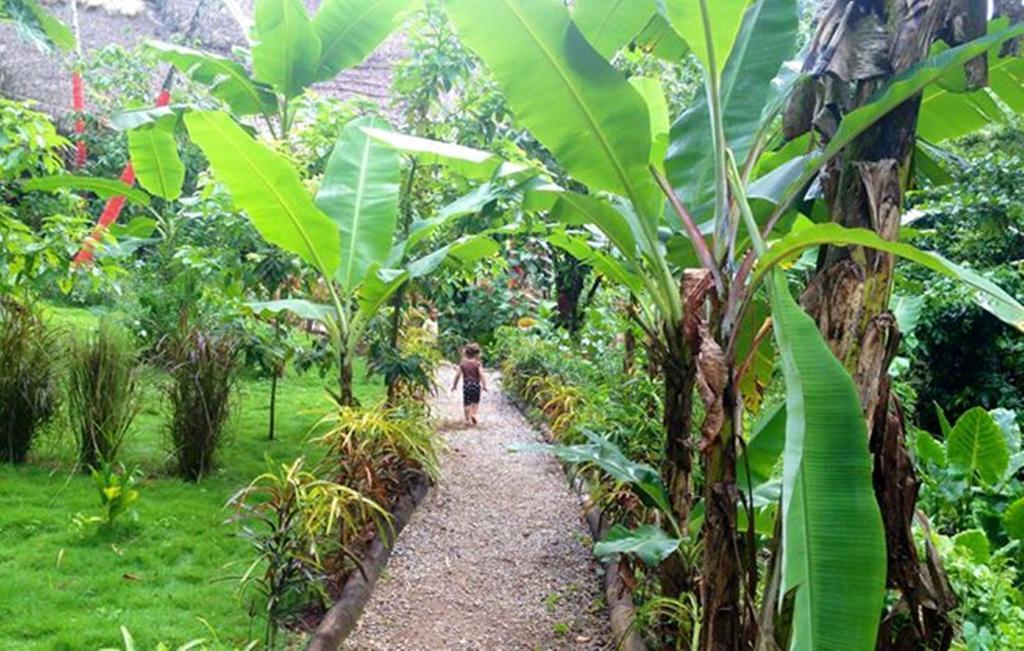 Dominican Tree House Village Samana Exterior foto