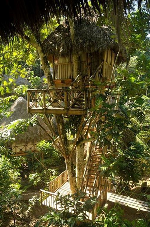 Dominican Tree House Village Samana Exterior foto